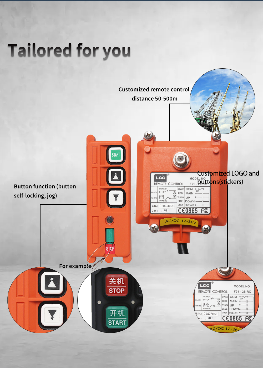 F21-2S LCC (3) Modèle 
