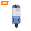 12 V 24 V LCC SAGA1-L4 4 boutons système de télécommande à vitesse unique tour treuil Radio grue télécommande